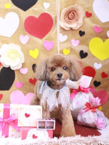 20230219颯太くん